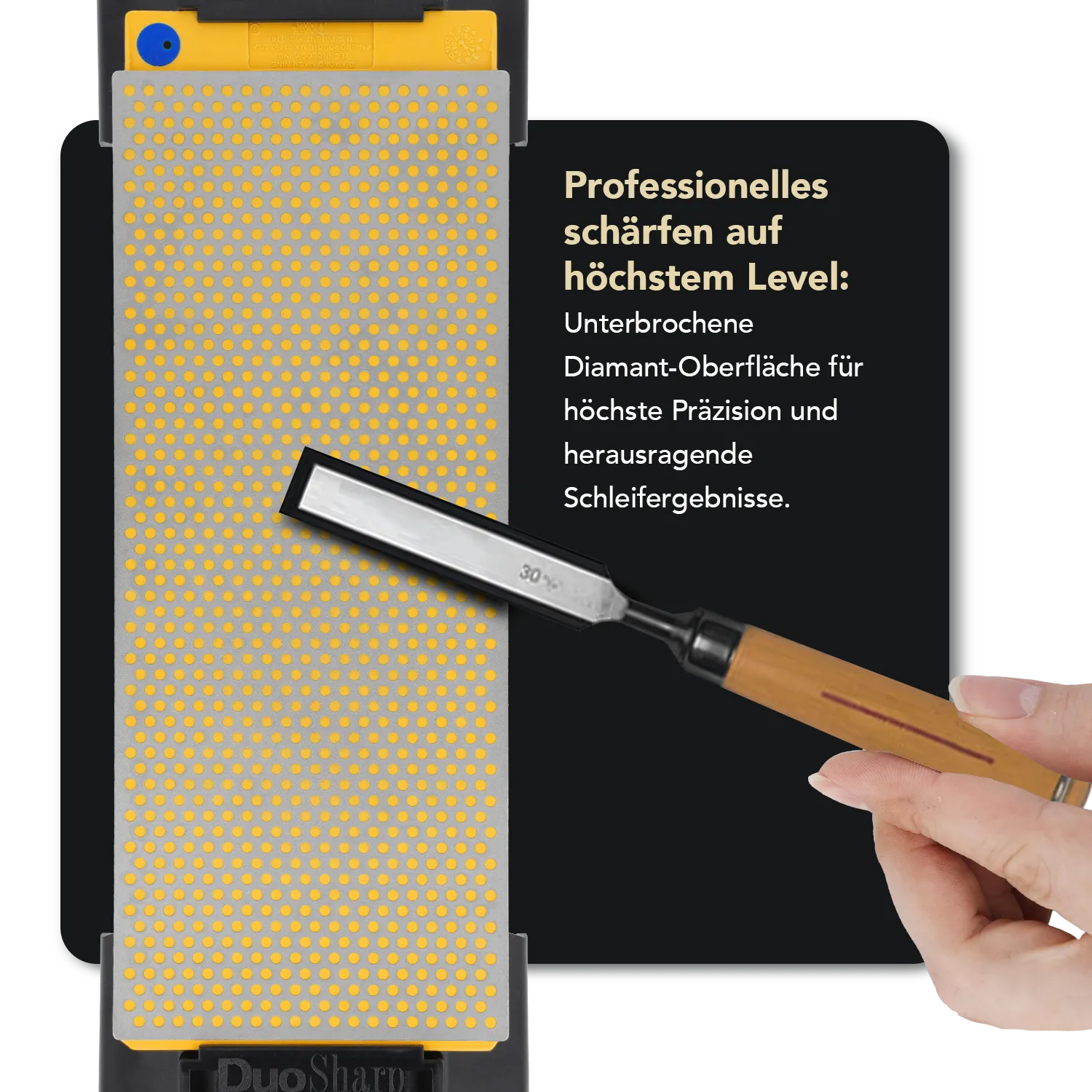 DuoSharp® Diamant Schleifstein 10" mit Basis Extragrob / Grob, W250CX-WB DuoSharp® Diamant Schleifstein 10" mit Basis Extragrob / Grob, W250CX-WB