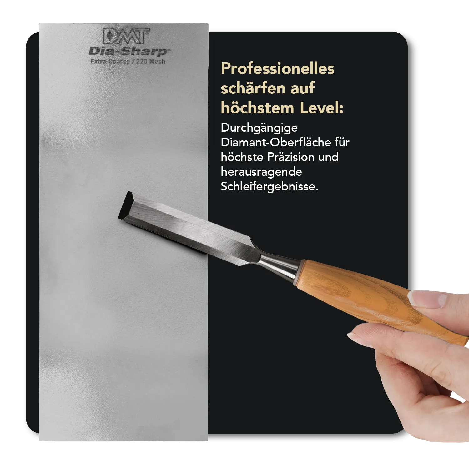 Dia-Sharp® Diamant Schleifstein 10" Extragrob / Grob, D10C/X