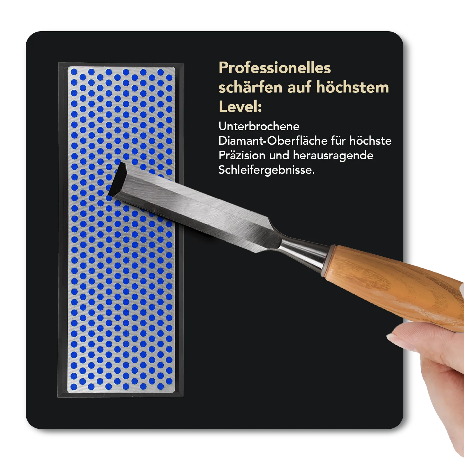 Diamond Whetstone™ Diamant Schleifstein in Kunststoffbox 6" Grob, W6CP