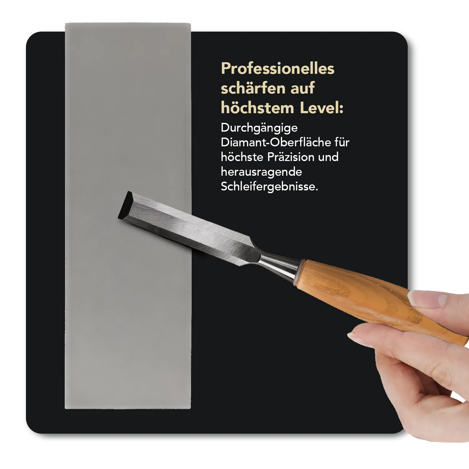 Dia-Sharp® Diamant Schleifstein 6" Fein, D6F