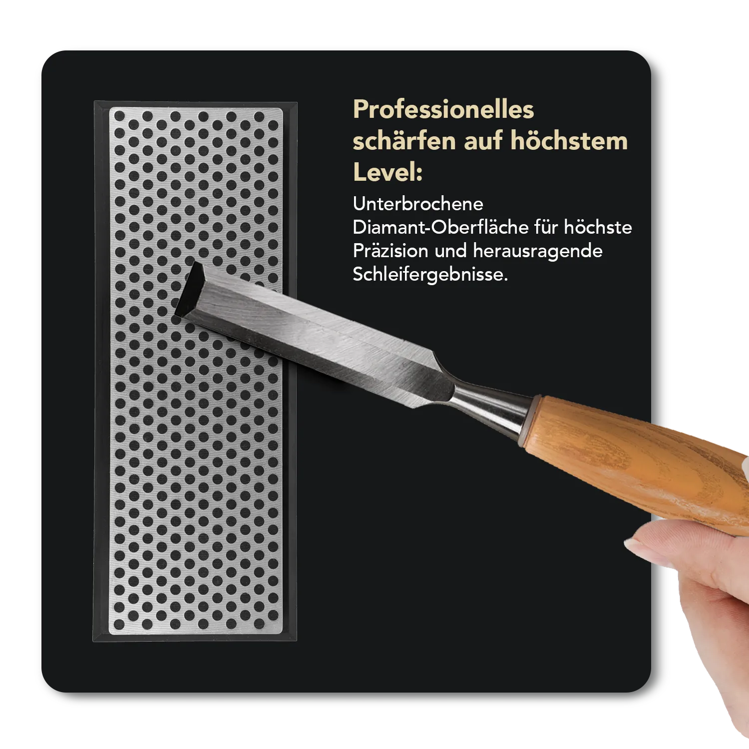 Diamond Whetstone™ Diamant Schleifstein in Kunststoffbox 6" Extragrob, W6XP
