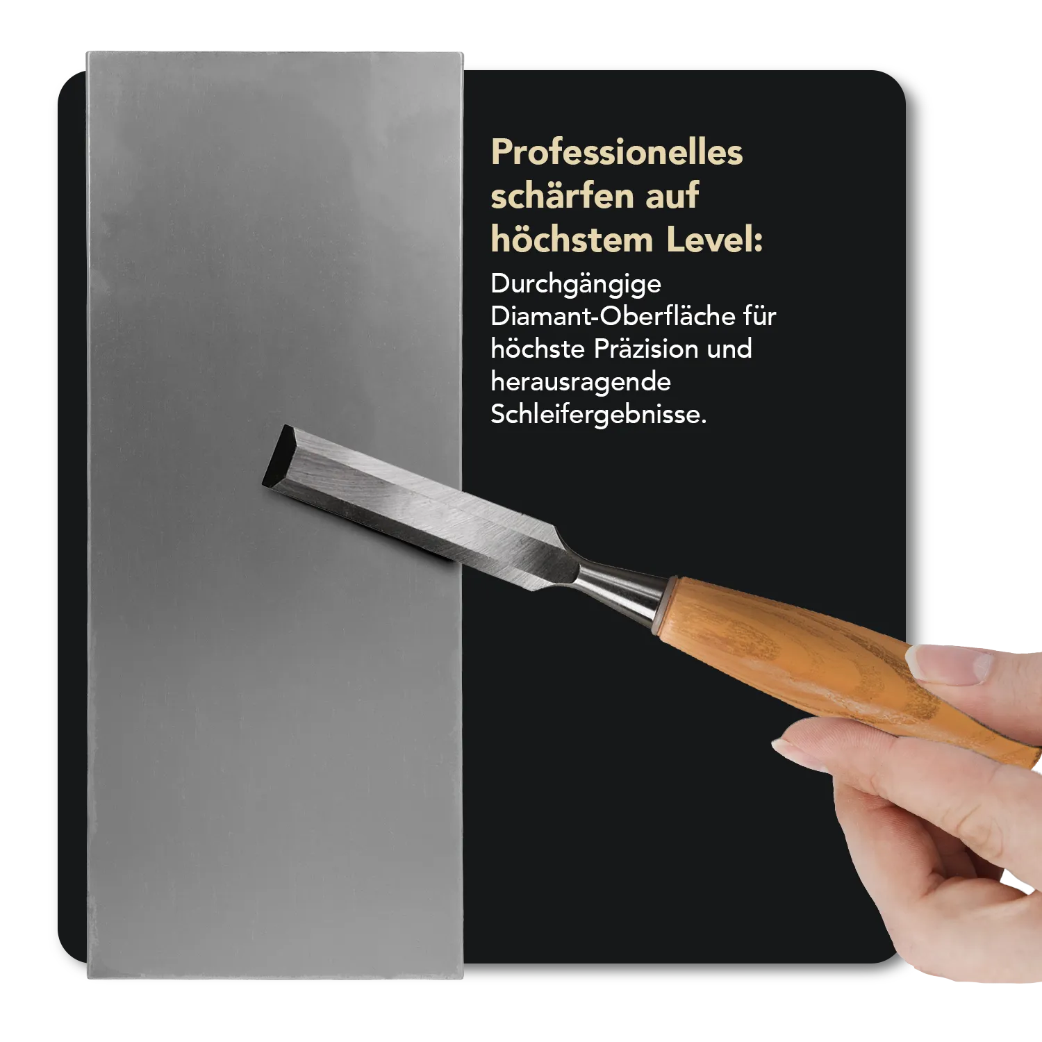 Dia-Sharp® Diamant Schleifstein 10" Fein, D10F Dia-Sharp® Diamant Schleifstein 10" Fein, D10F