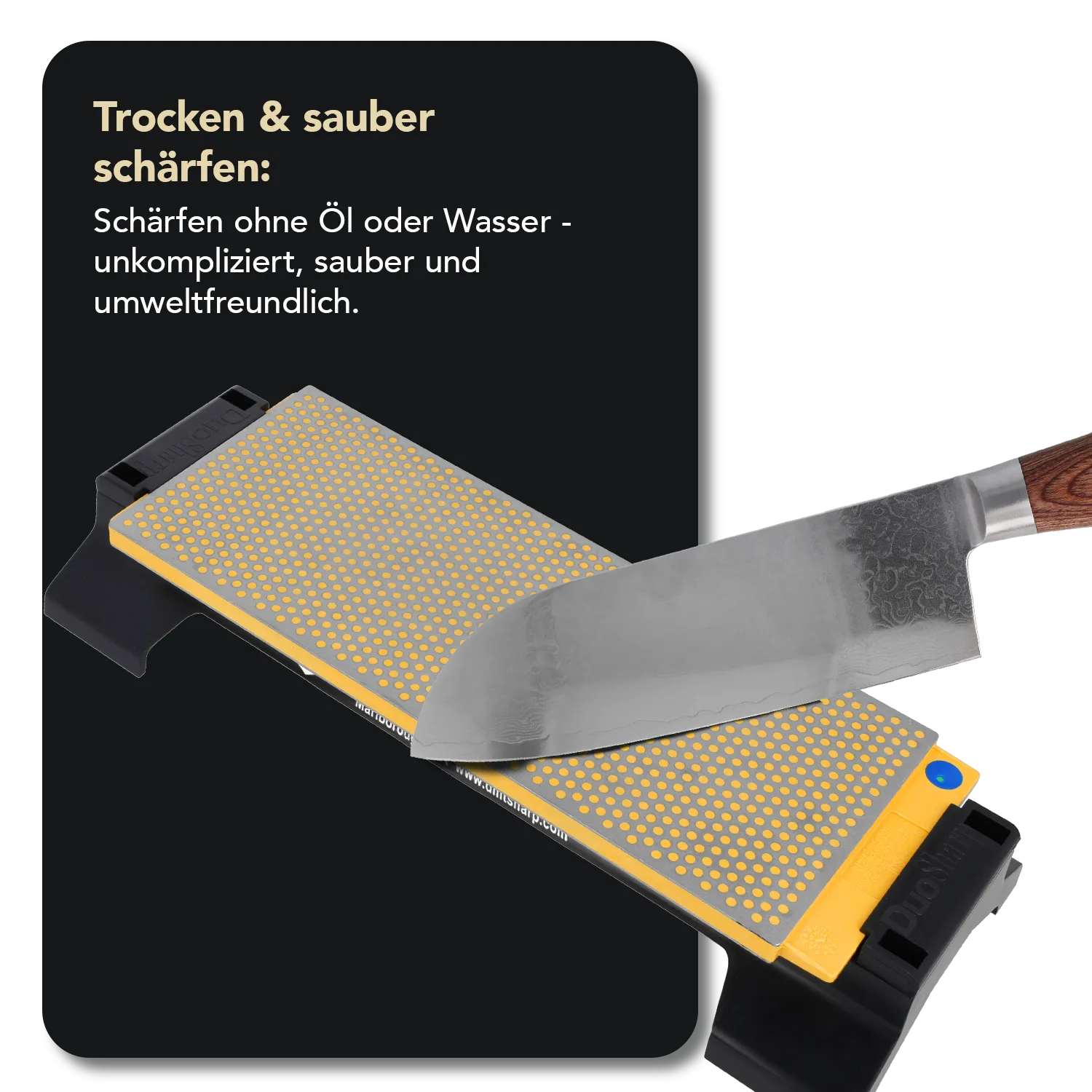 DuoSharp® Diamant Schleifstein 10" mit Basis Grob / Extrafein, W250EC-WB