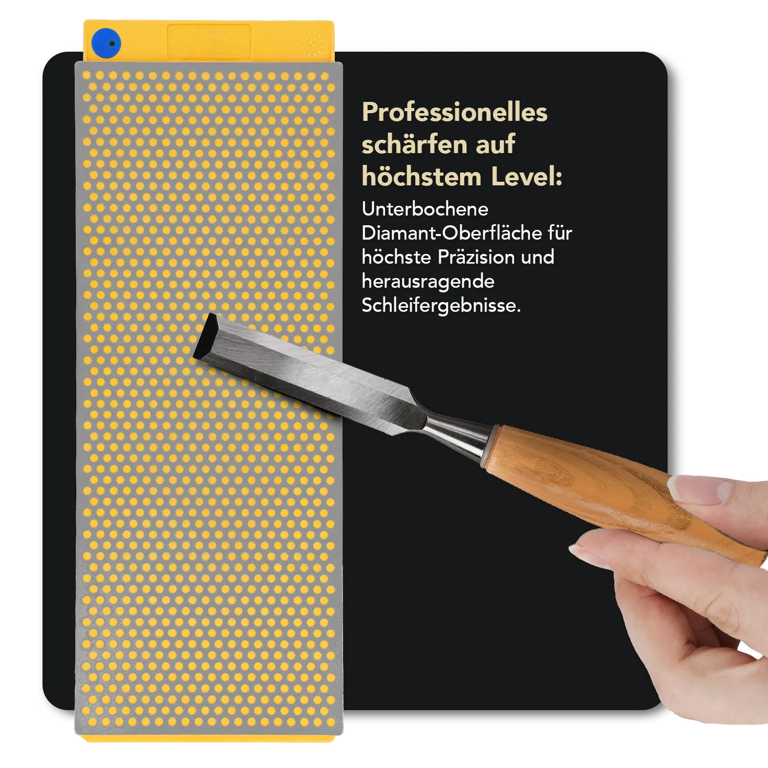 DuoSharp® Diamant Schleifstein 10" Extragrob / Grob, W250CXNB DuoSharp® Diamant Schleifstein 10" Extragrob / Grob, W250CXNB