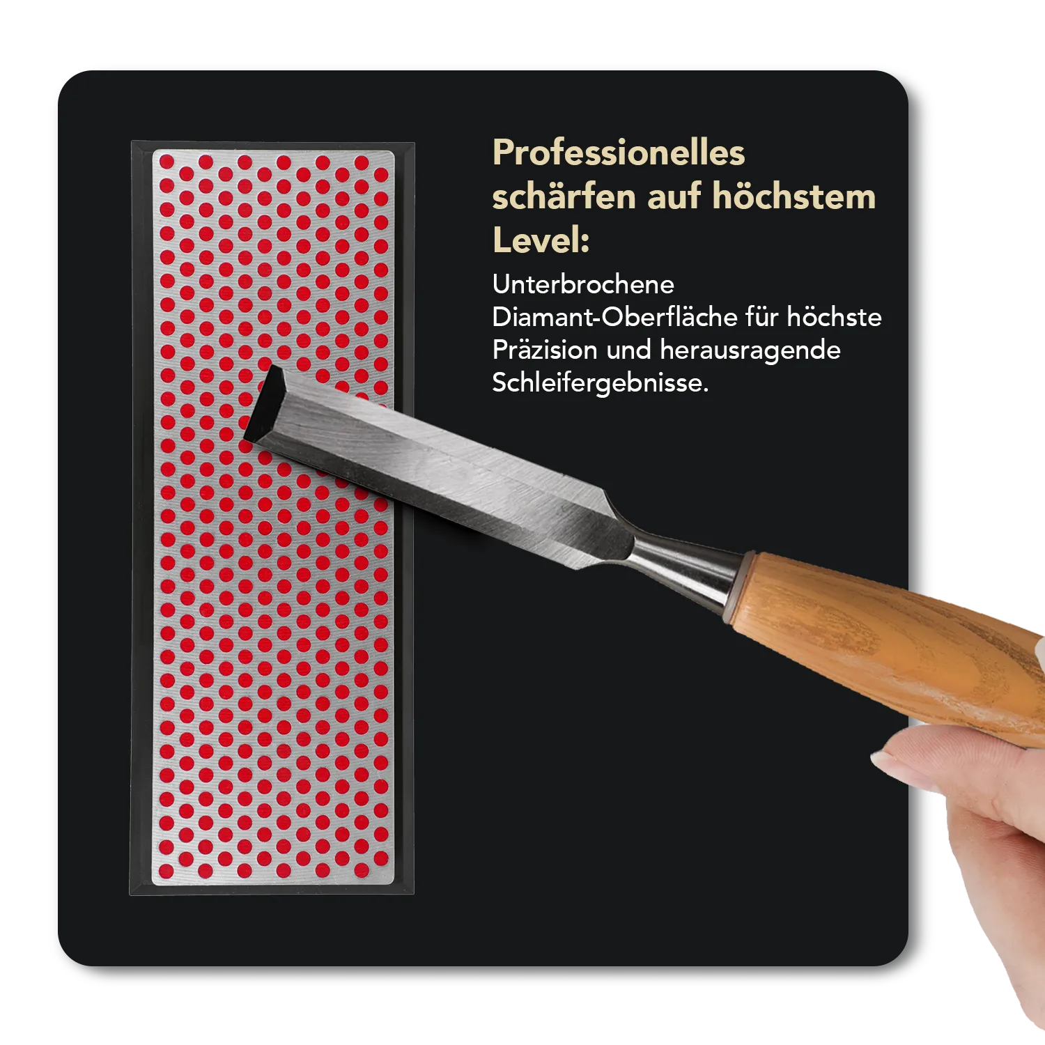 Diamond Whetstone™ Diamant Schleifstein in Kunststoffbox 6" Fein, W6FP