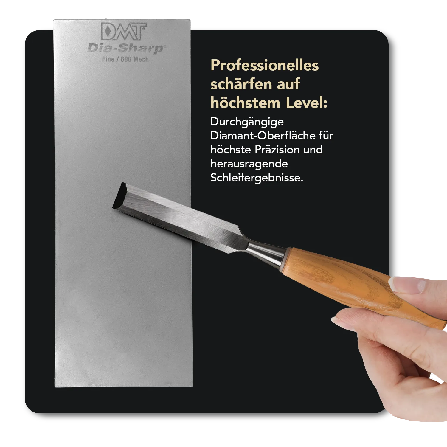 Dia-Sharp® Diamant Schleifstein 8" Fein / Extrafein, D8EF